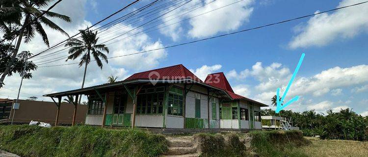 Strategic Land for Sale in Yellow Zone in Pejeng Kawan, Gianyar 1