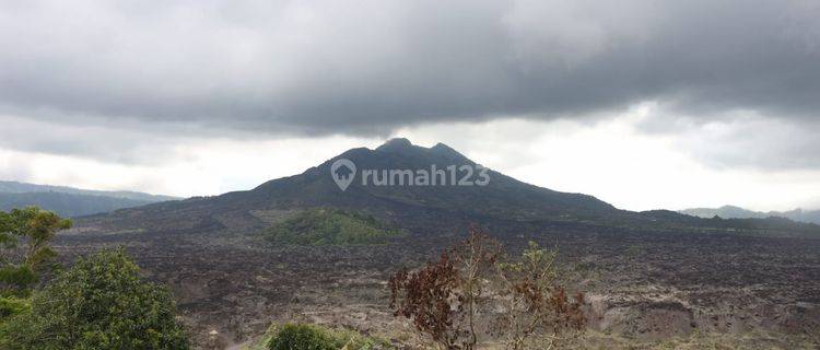 Disewa Tanah Daerah Kintamani 1