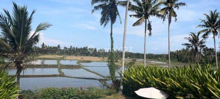 Dijual Luxury Villa Kemenuh 3 Kamar Tidur Siap Pakai View Sawah  1