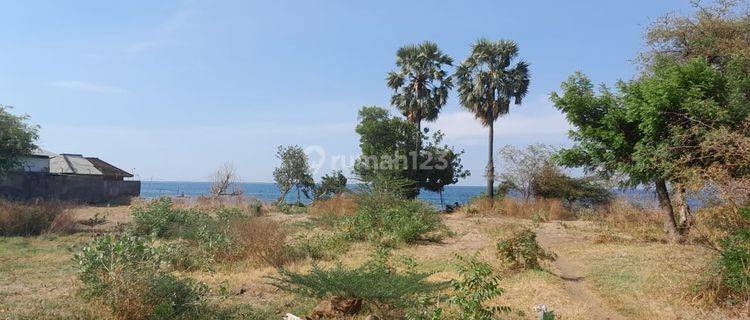 Dijual Tanah Depan Pantai Pemuteran 42,7 Ara View Laut Dan Gunung 1