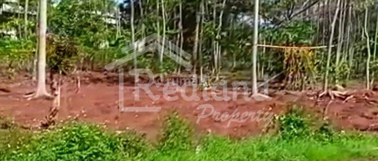 Tanah dijual di Baon, KedungSari , Singorojo, Kendal. Lk 4666 1