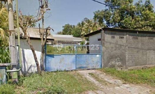 Large Land + Warehouse in Jalan Pantai Rening, Baluk, Negara, For Sale 1