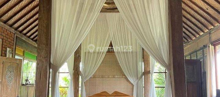 1 Bedroom Villa With Beautiful Rice Field View On Pura Dalam, Sayan - Ubud. 1