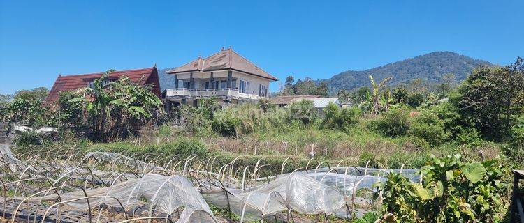 Tanah SHM " Mountain View " 4 Are Bedugul Dijual 1