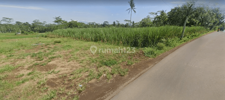 Tanah Murah Di Gondanglegi Timur, Malang Luas 3.500 M² 1