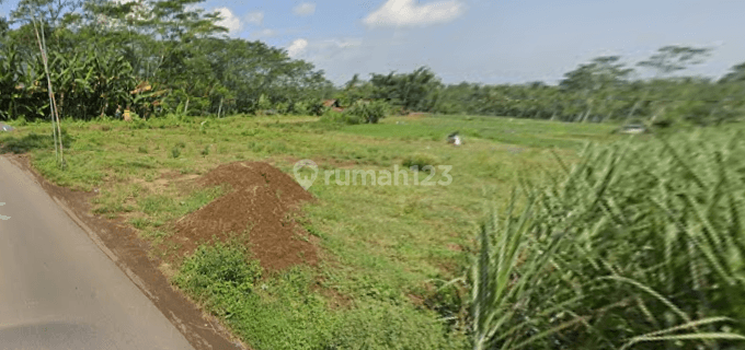 Tanah 3500 M2 Shmdi Gondanglegi Malang Akses Mobil Simpangan 1