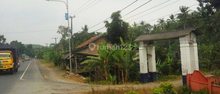 tanah pinggir jalan lintas sumaatera sidomulyo 1