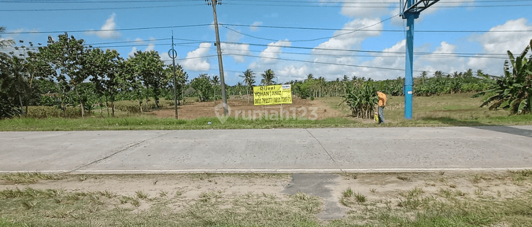 Tanah Murah Didaerah Pabrik Di Kalianda Lampung Selatan 1