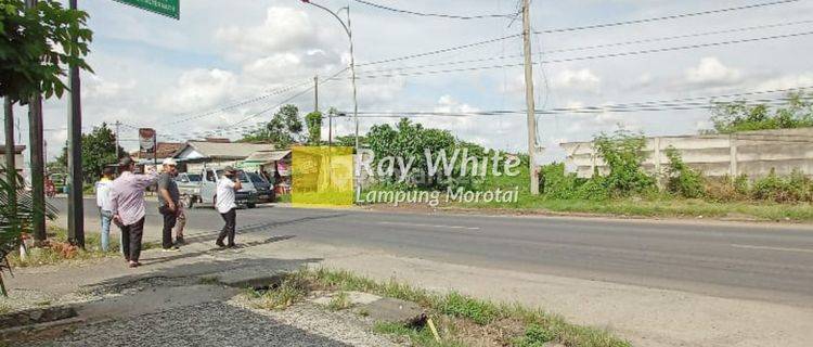 Tanah Jl. Lintas Sumatera dekat gerbang Tol Gunung Sugih Lampung Tengah 1