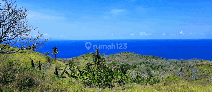 Large Plot of Land Suitable for Building a Resort in Nusa Penida PS0209 1