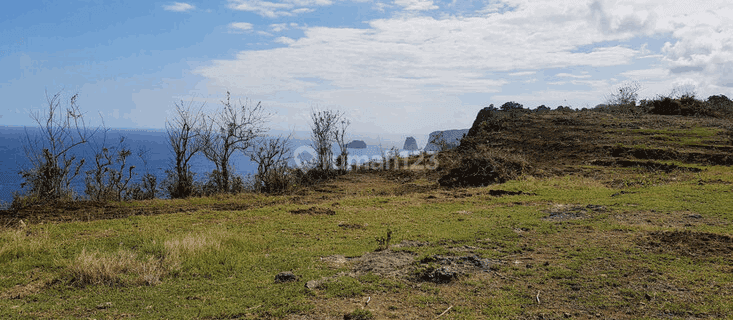 Tanah Kavling Cocok Untuk Usaha Di Nusa Penida PS0205 1