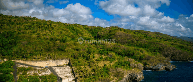 Large Land Suitable For Business Sea View In Nusa Penida PS0202 1