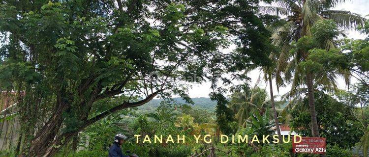 Tanah SHM pinggir jln di Temukus Bali dekat LOVINA,Oleh2 Krisna 1