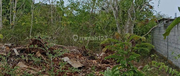 Land For Sale Cheap Enter Puri Gading 1