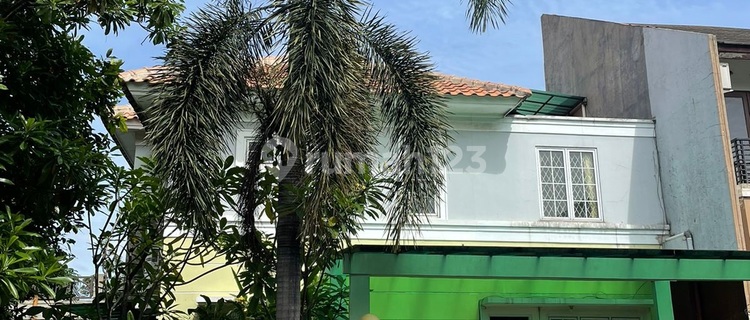 Rumah Sewa Bagus 5 Kamar Tidur, di Citragran Cibubur 1