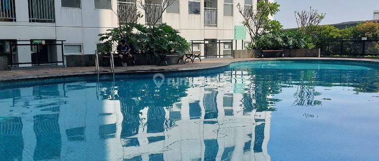 Jual Rugi Apartemen Serpong Garden Pool View 1