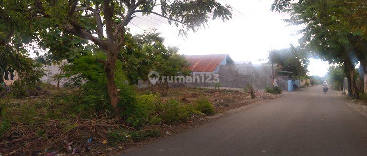 Tanah Shm Fatukoa Kota Kupang Cocok Buat Usaha Jalur 40 1