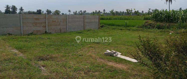 Tanah Kavling siap bangun Glanggang Tumpang Malang 1