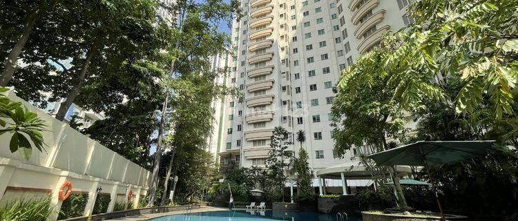 Apartemen Pet Friendly Simpruk Teras 3BR Siap Huni 1