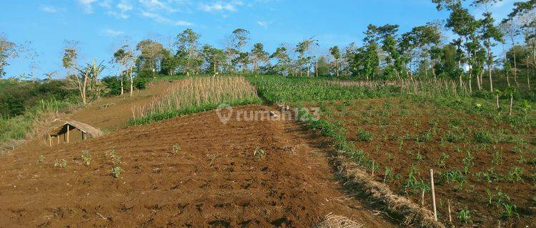 Dijual Tanah Cantik Di Sukaresmi, Cianjur 1