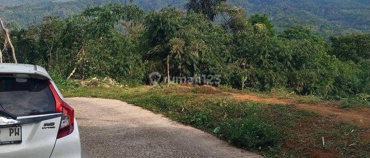 DIJUAL TANAH PEKARANGAN DI PASIGITAN BOJA LT.3250 COXOK UNTUK PESANTREN,VILA,RUMAH,KEBUN 1