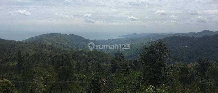  Tanah Gunung Batu Cikakak Sukabumi 4.2 Hektar Pelabuhan Ratu 1