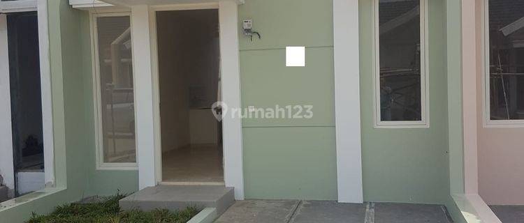 Sewa Murah Rumah Minimalis 1lt Bouvardia Estate Siap Huni js  1