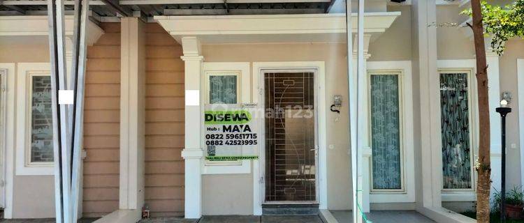 Disewakan Rumah Minimalis 1lt Cluster Laurus Siap Huni my  1