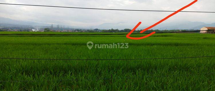 Dijual Sawah Daerah Banjarang 1