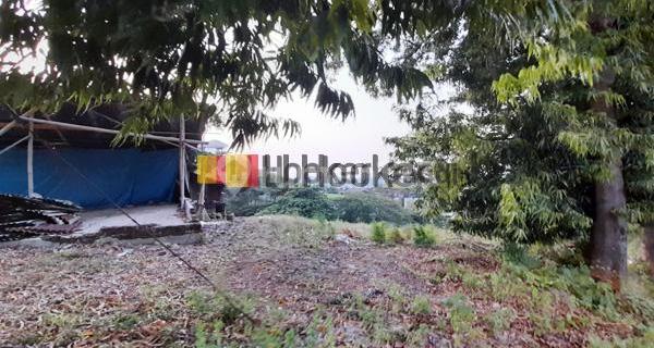 Kavling di Bukit Delima Bukit Sari Semarang 1