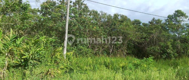 Tanah Tanjung Selor Kalimantan Utara 1