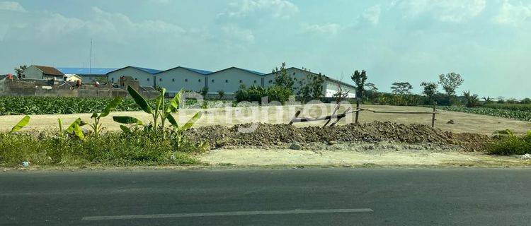 Tanah di Sukaharjo Dekat Solo Jawa Tengah 1