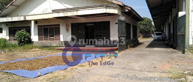 Disewakan Gudang Teuku Umar Jember 1