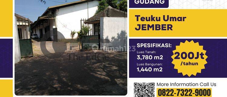 Disewakan Gudang Teuku Umar Sumbersari Jember The Edge 1