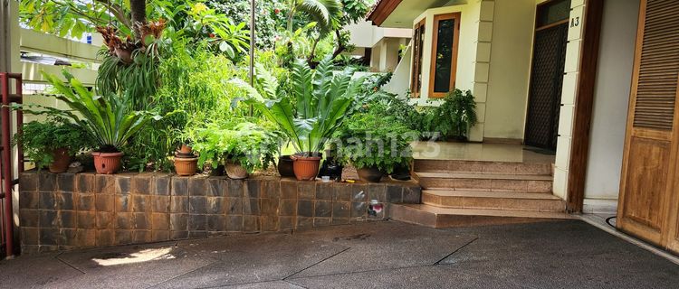 Disewakan Rumah Siap Huni di Kemang Jakarta Selatan 1