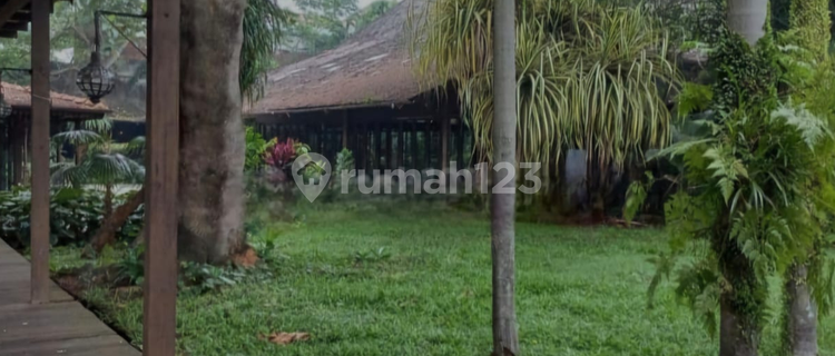 UPDATE TURUN HARGA FOR SALE RUMAH HITUNG TANAH DI BAWAH NJOP DI JERUK PURUT CILANDAK TIMUR 1