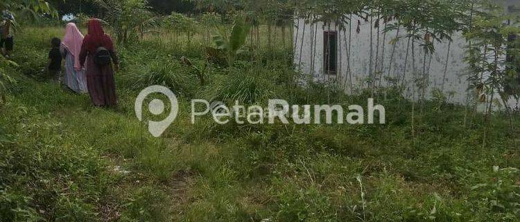 Jual Tanah Jalan Sei Mencirim Luas 1000m2 Siap Bangun Properti  1