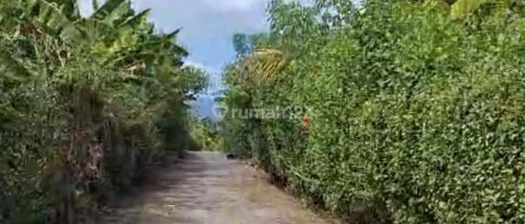  Land ready to build a house in strategic location in the Singaraja area, Bali 1