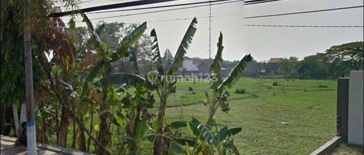 Dijual Cepat Murah Tanah SHM Jl Raya Basuki Rachmat Madiun L1837 1