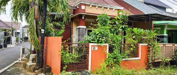 DISEWAKAN RUMAH EAGLE RESIDENCE , SAMBIROTO TEMBALANG Rumah 1