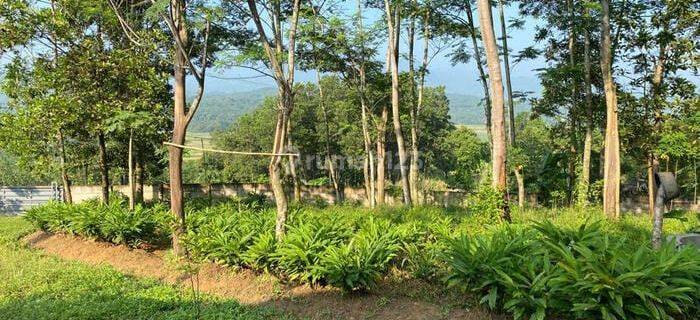 Dijual Tanah SHM View Gunung Strategis di Sukajaya, Bogor 1