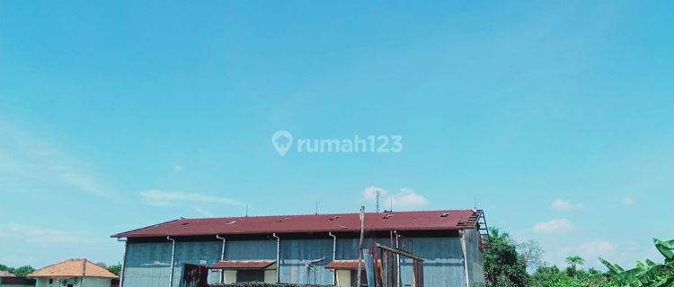 DISEWAKAN PABRIK LAHAN CIREBON LUAS MURAH 1