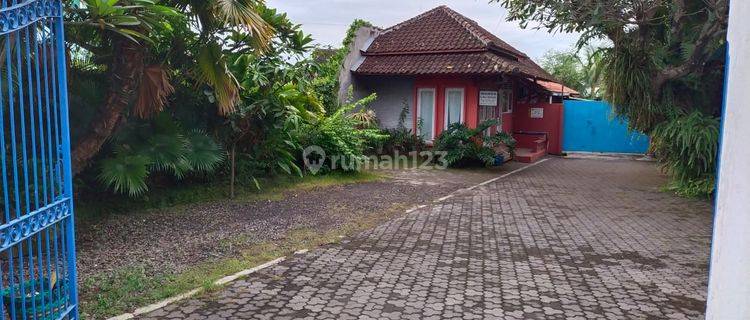 Rumah dengan halaman luas di lokasi strategis Solo 1