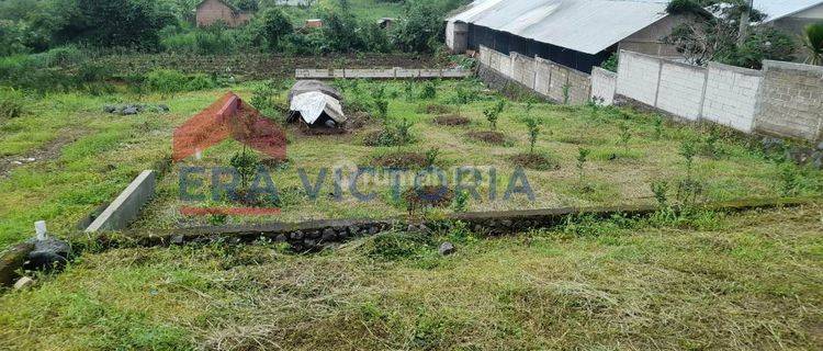 Tanah Cocok Dibangun Rumah Tinggal Atau Kos-kosan Merjosari Malang 1