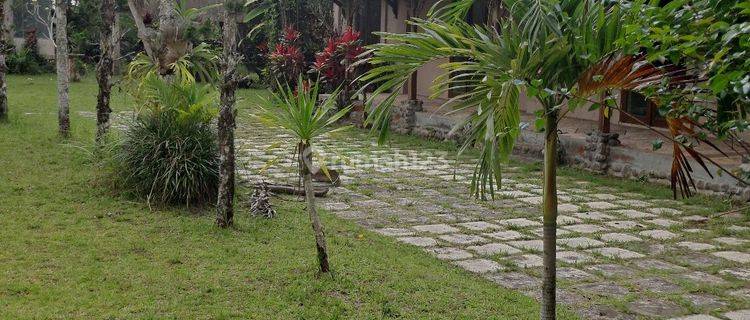 Jual Tanah Dekat Ubud + Bangunan 1