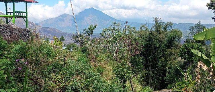 Selling land in Kintamani 1