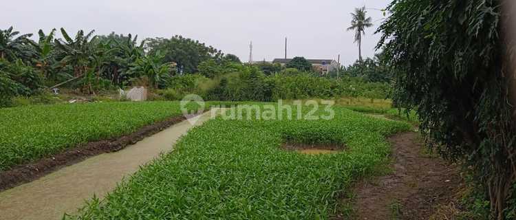 Dijual Cepat Dibawah Njop Lahan Di Cimone  1