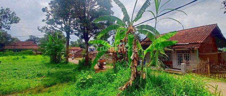 Tanah di Areal Ciparay Bebas Banjir, Bandung SHM 242 m² 1