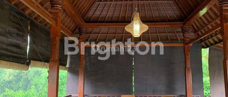 3 private villa ensuite in Tabanan view mountain 1