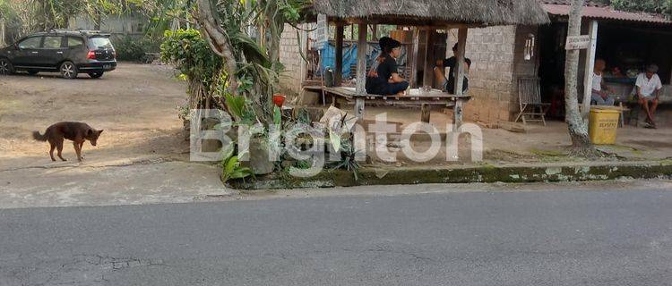 Tanah ubud pinggir jalan cocok buat usaha 1